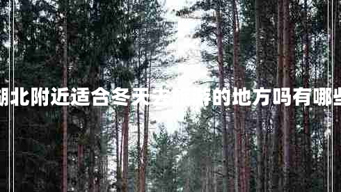 湖北附近適合冬天去旅游的地方嗎有哪些