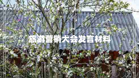 旅游營銷大會(huì)發(fā)言材料 旅游營銷大會(huì)發(fā)言材料