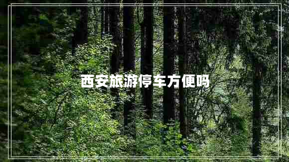 西安旅游停車方便嗎