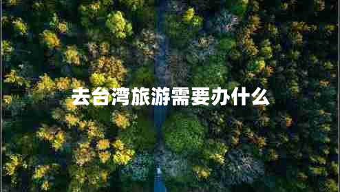 去臺灣旅游需要辦什么