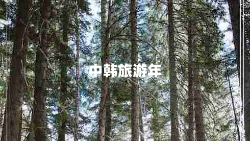 中韓旅游年