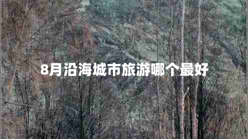 8月沿海城市旅游哪個(gè)最好