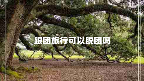 跟團旅行可以脫團嗎