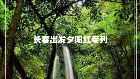 長春出發(fā)夕陽紅專列