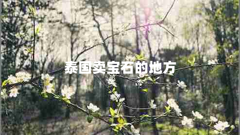 泰國賣寶石的地方