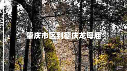 肇慶市區(qū)到德慶龍母廟 肇慶市區(qū)到德慶龍母廟