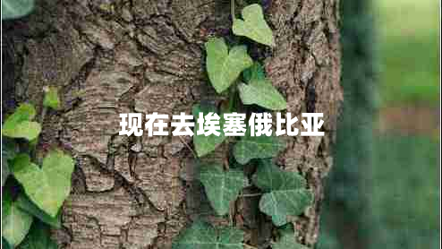 現(xiàn)在去埃塞俄比亞 現(xiàn)在去埃塞俄比亞