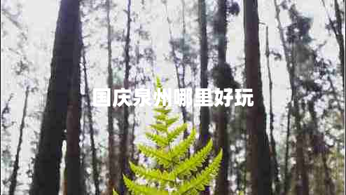 國(guó)慶泉州哪里好玩 國(guó)慶泉州哪里好玩
