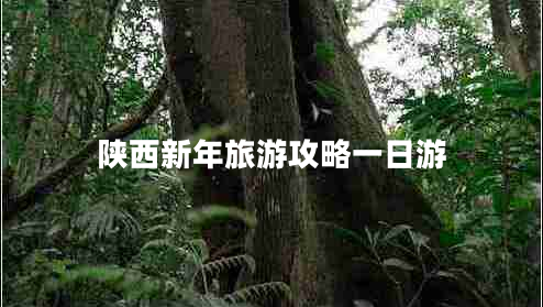 陜西新年旅游攻略一日游