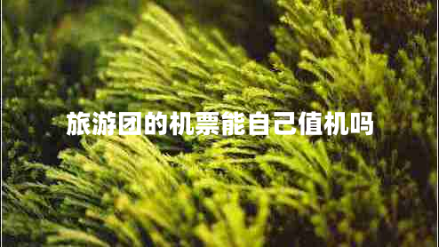 旅游團(tuán)的機(jī)票能自己值機(jī)嗎