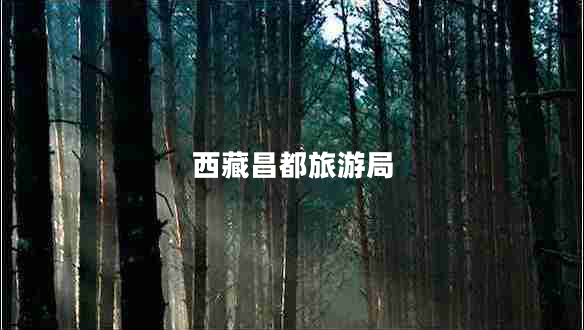 西藏昌都旅游局 西藏昌都旅游局