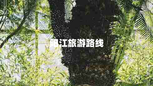 陽江旅游路線 陽江旅游路線