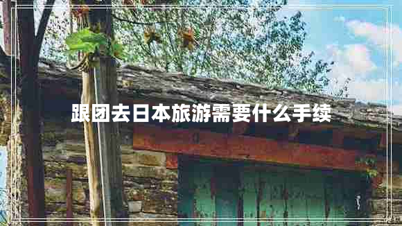跟團(tuán)去日本旅游需要什么手續(xù)