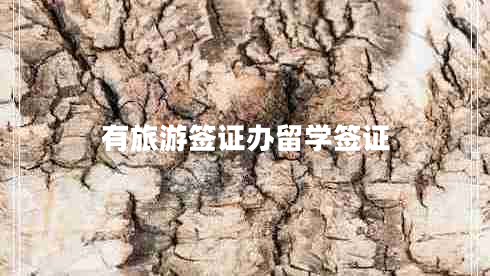 有旅游簽證辦留學簽證