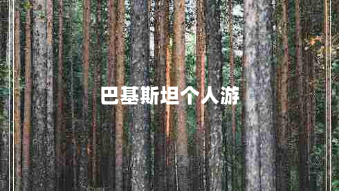 巴基斯坦個人游