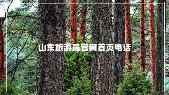 山東旅游局官網(wǎng)首頁(yè)電話 山東旅游局官網(wǎng)首頁(yè)電話