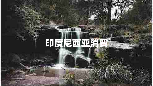 印度尼西亞消費(fèi)