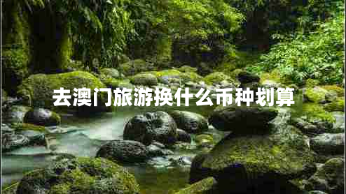 去澳門旅游換什么幣種劃算