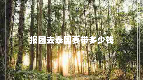 報團去泰國要帶多少錢