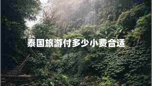 泰國(guó)旅游付多少小費(fèi)合適