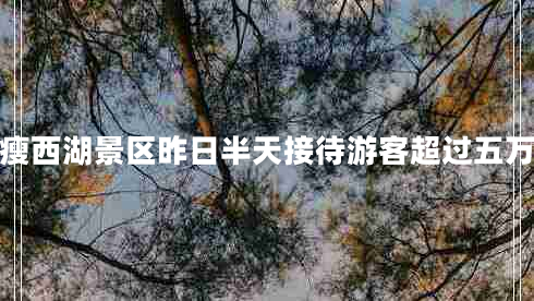 據(jù)統(tǒng)計(jì)瘦西湖景區(qū)昨日半天接待游客超過(guò)五萬(wàn)人左右