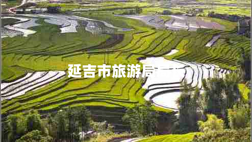 延吉市旅游局局長 延吉市旅游局局長