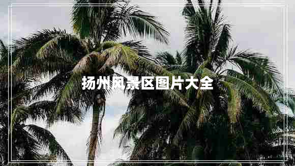 揚州風景區(qū)圖片大全