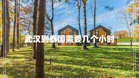 武漢到泰國(guó)需要幾個(gè)小時(shí)