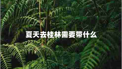 夏天去桂林需要帶什么