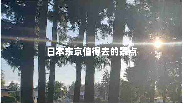 日本東京值得去的景點 日本東京值得去的景點