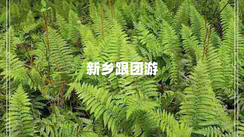 新鄉(xiāng)跟團(tuán)游