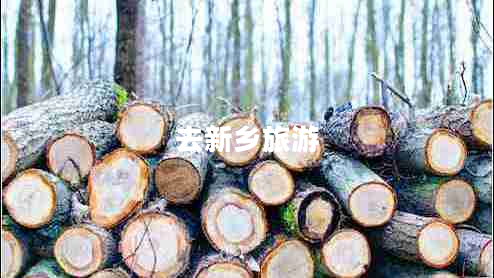 去新鄉(xiāng)旅游 去新鄉(xiāng)旅游