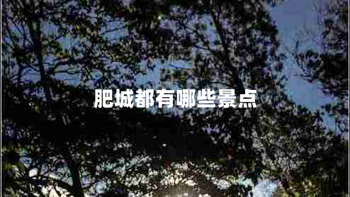 肥城都有哪些景點(diǎn)