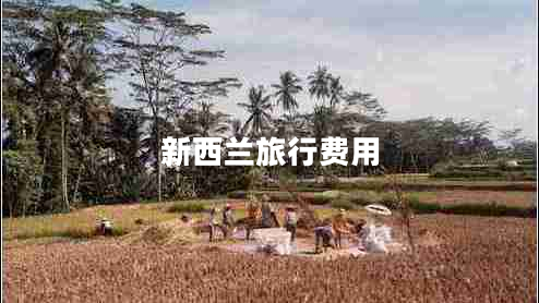 新西蘭旅行費(fèi)用 新西蘭旅行費(fèi)用