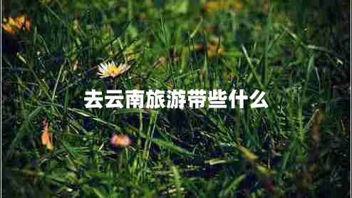 去云南旅游帶些什么
