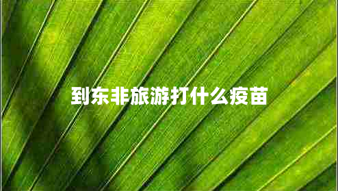 到東非旅游打什么疫苗 到東非旅游打什么疫苗