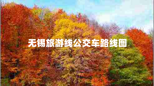 無(wú)錫旅游線公交車路線圖