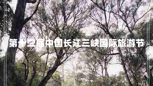 第十二屆中國(guó)長(zhǎng)江三峽國(guó)際旅游節(jié)