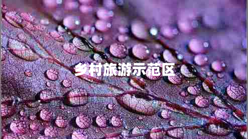 鄉(xiāng)村旅游示范區(qū)