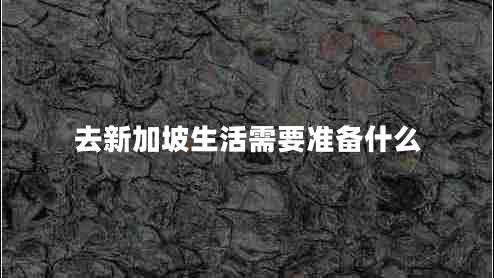 去新加坡生活需要準(zhǔn)備什么