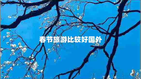 春節(jié)旅游比較好國外