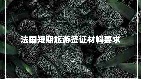 法國短期旅游簽證材料要求 法國短期旅游簽證材料要求