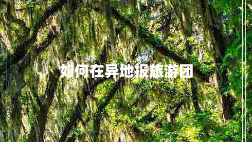 如何在異地報(bào)旅游團(tuán)