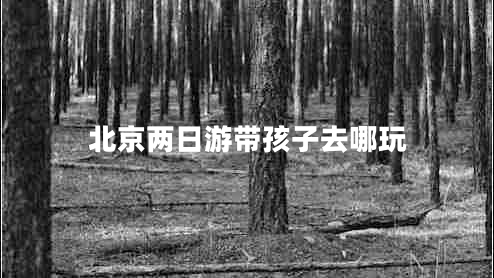 北京兩日游帶孩子去哪玩