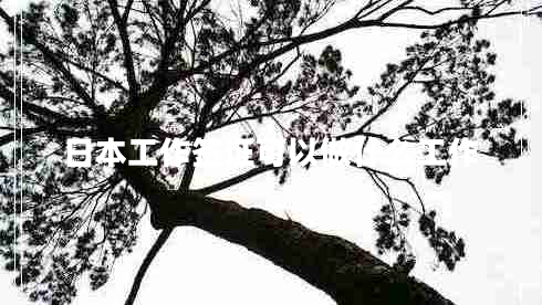 日本工作簽證可以做什么工作