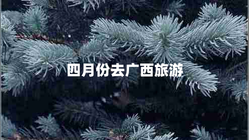 四月份去廣西旅游 四月份去廣西旅游