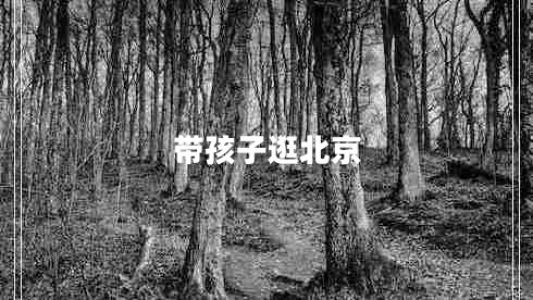 帶孩子逛北京 帶孩子逛北京