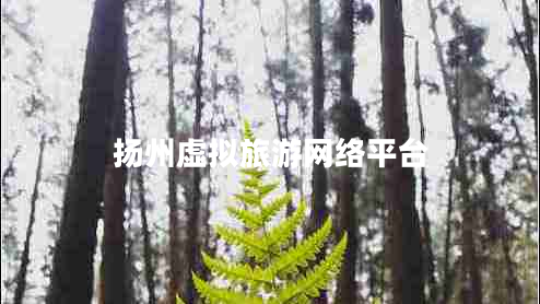 揚(yáng)州虛擬旅游網(wǎng)絡(luò)平臺