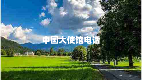 中國(guó)大使館電話