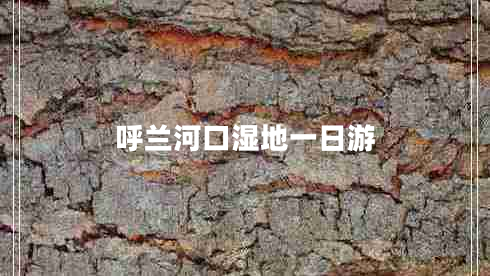 呼蘭河口濕地一日游